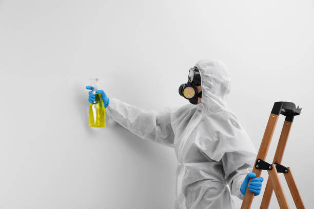  Kemmerer, WY Mold Removal & Remediation Pros